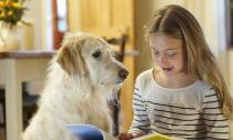 Анималотерапия для детей: иппотерапия, фелинотерапия, канистерапия Терапия с помощью домашних животных