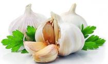 Beneficial and harmful properties of garlic during pregnancy