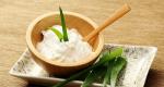 Aloe - medicinal properties and contraindications, benefits and harms, recipes How aloe affects the human body
