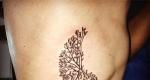 The meaning of the tattoo branch with leaves